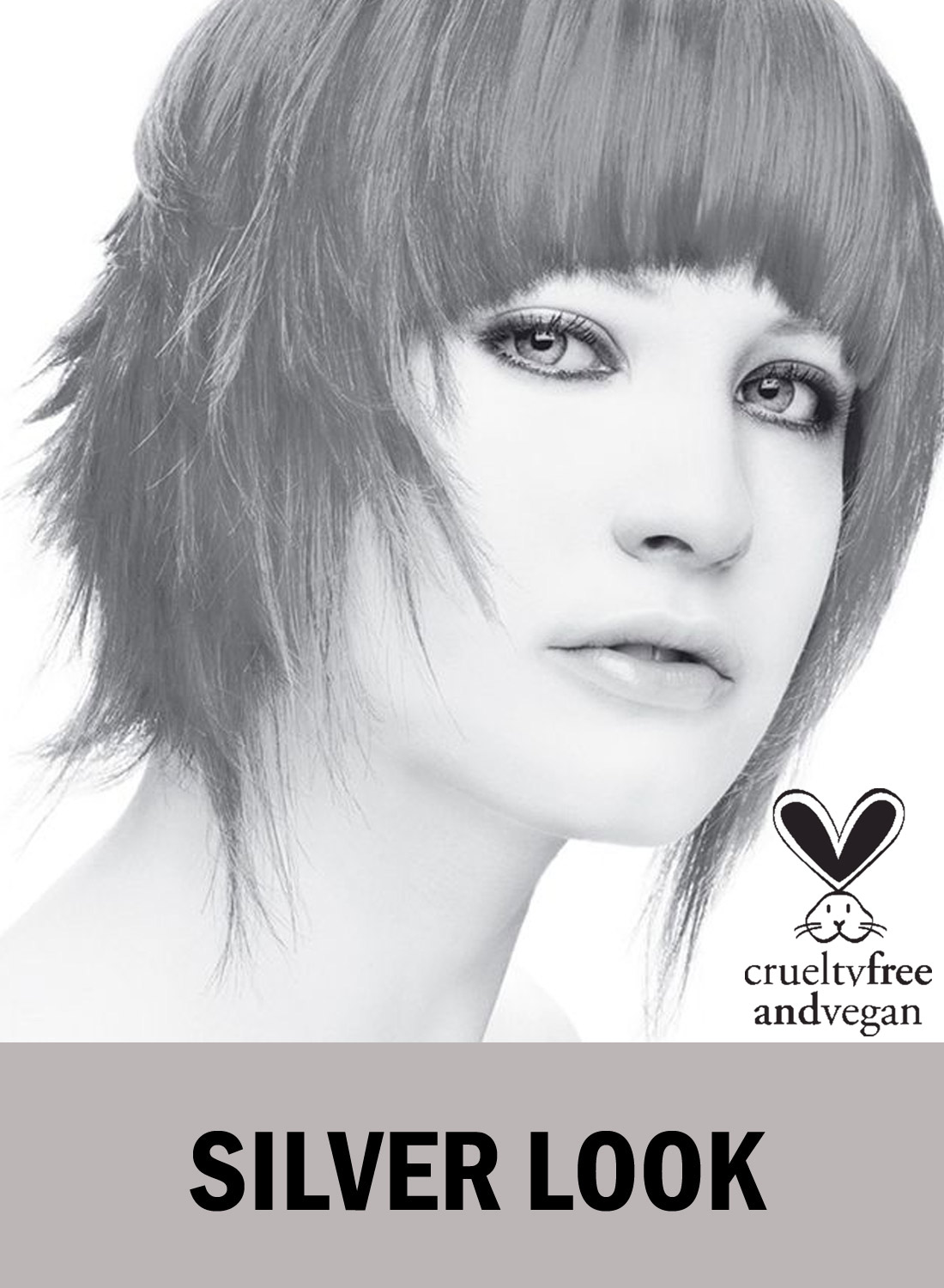 Hiusväri Star Silver Look